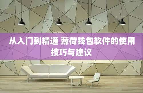 从入门到精通 薄荷钱包软件的使用技巧与建议