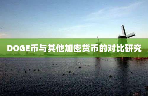 DOGE币与其他加密货币的对比研究