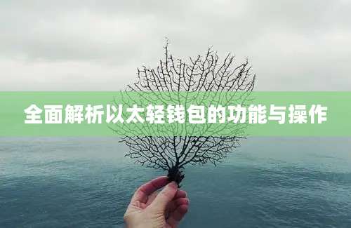 全面解析以太轻钱包的功能与操作