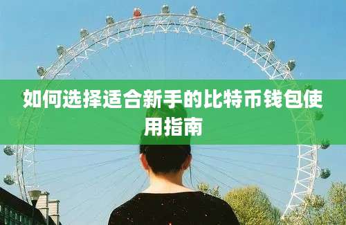 如何选择适合新手的比特币钱包使用指南