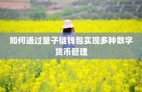 如何通过量子链钱包实现多种数字货币管理