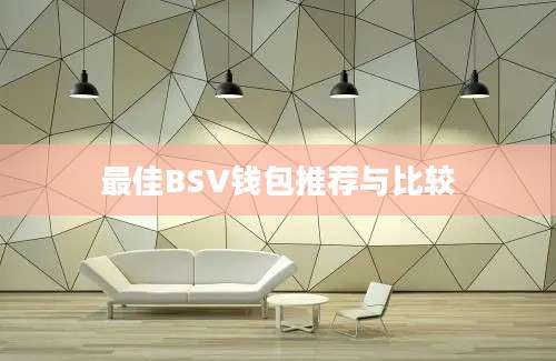 最佳BSV钱包推荐与比较