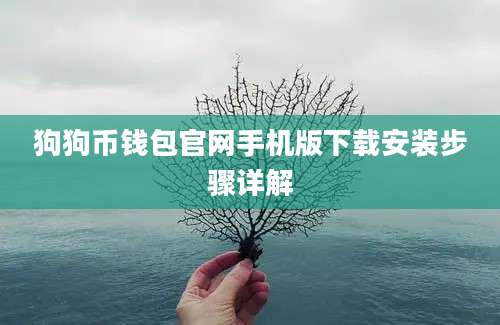 狗狗币钱包官网手机版下载安装步骤详解