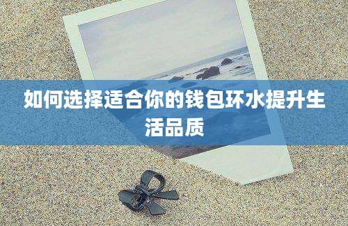 如何选择适合你的钱包环水提升生活品质