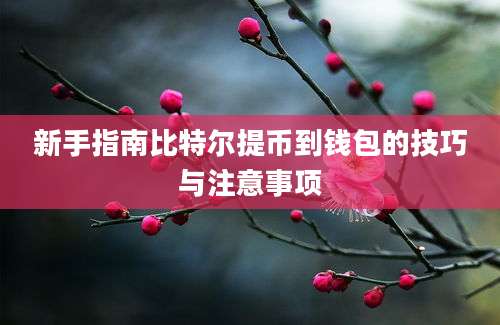 新手指南比特尔提币到钱包的技巧与注意事项