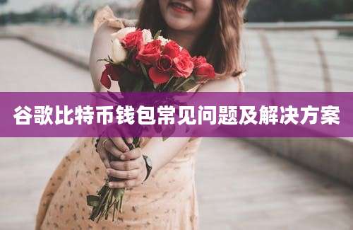 谷歌比特币钱包常见问题及解决方案