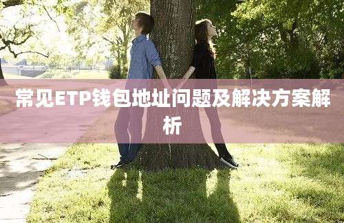 常见ETP钱包地址问题及解决方案解析