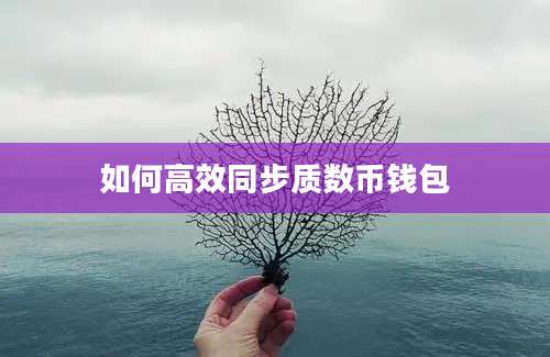 如何高效同步质数币钱包
