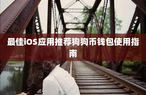 最佳iOS应用推荐狗狗币钱包使用指南