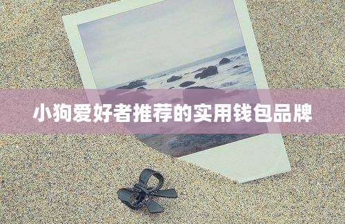 小狗爱好者推荐的实用钱包品牌