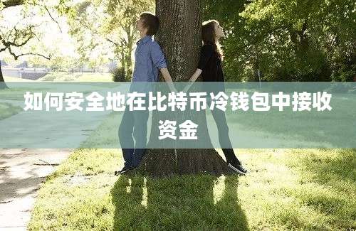 如何安全地在比特币冷钱包中接收资金