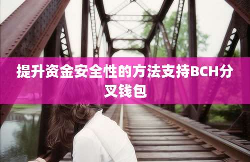 提升资金安全性的方法支持BCH分叉钱包