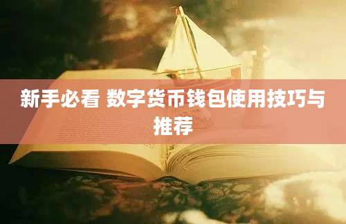 新手必看 数字货币钱包使用技巧与推荐