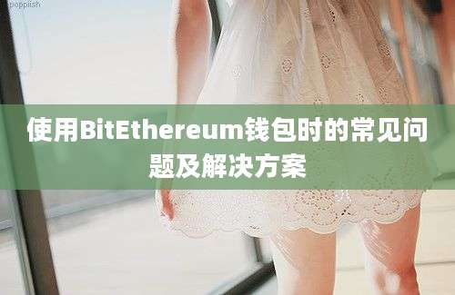 使用BitEthereum钱包时的常见问题及解决方案